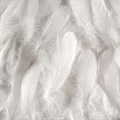 Одеяло (235x215 см) (150 гр.) (70% Гусиное перо) YATAS BEDDING "GOOSE FEATHER" EH20494 EH20494 - фото 85614 Одеяло (235x215 см) (150 гр.) (70% Гусиное перо) YATAS BEDDING "GOOSE FEATHER" EH20494 EH20494 - фото 85614